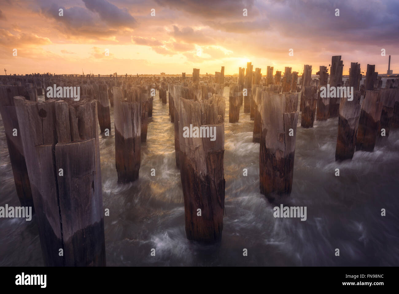 Wellen brechen gegen hölzerne Pier Pfähle, Melbourne, Victoria, Australien Stockfoto