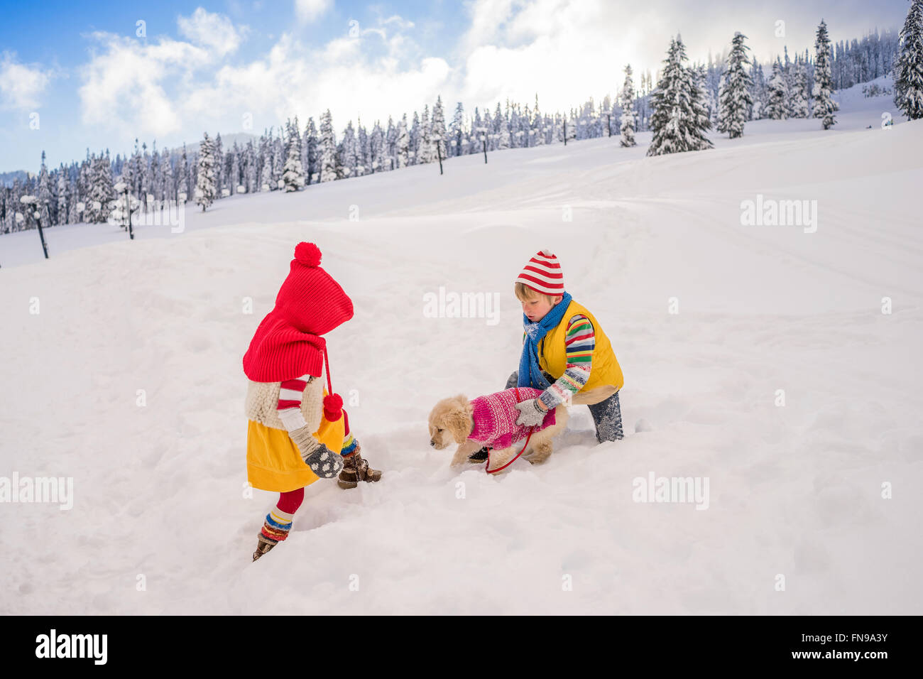 Jungen und Mädchen spielen mit golden Retriever Welpe Hund im Schnee Stockfoto