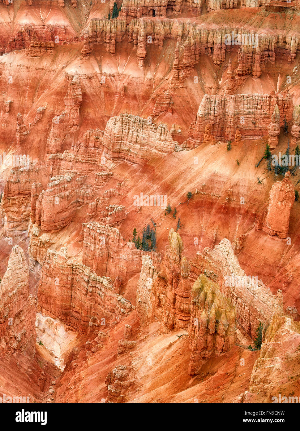 Canyon landet in Cedar Breaks National Monument, Utah Stockfoto