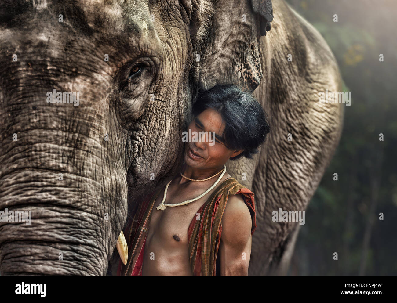 Mahout Mann mit Elefanten Stockfoto