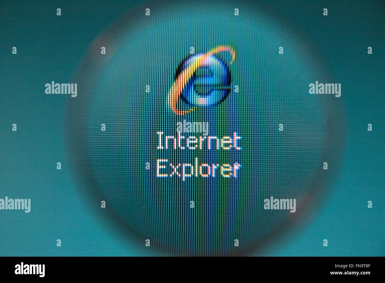 Mit Blick auf das Internet Explorer-Symbol/Logo durch ein Vergrößerungsglas. Stockfoto