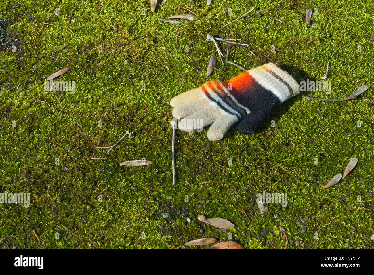 Handschuh oder Mitten auf dem grünen Rasen moosigen gestrickte Kind verloren Stockfoto