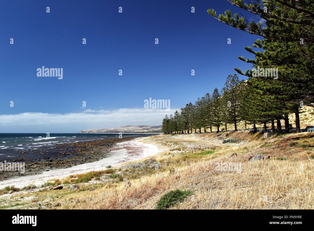 Küstenlandschaft am Gulf St. Vincent südlich von Adelaide, South Australia, Australien. Stockfoto