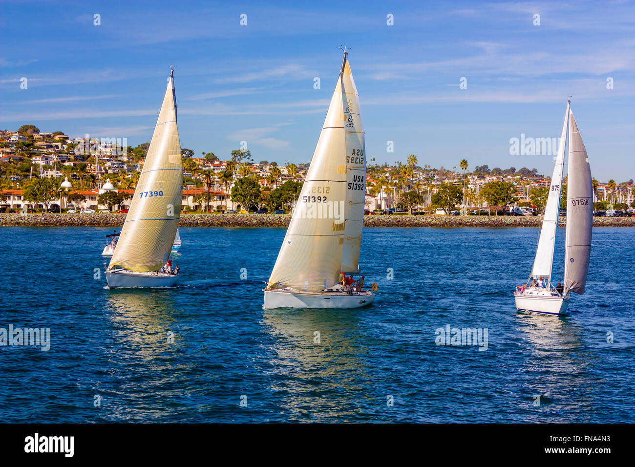 Segelschiffe in San Diego Bay Stockfoto