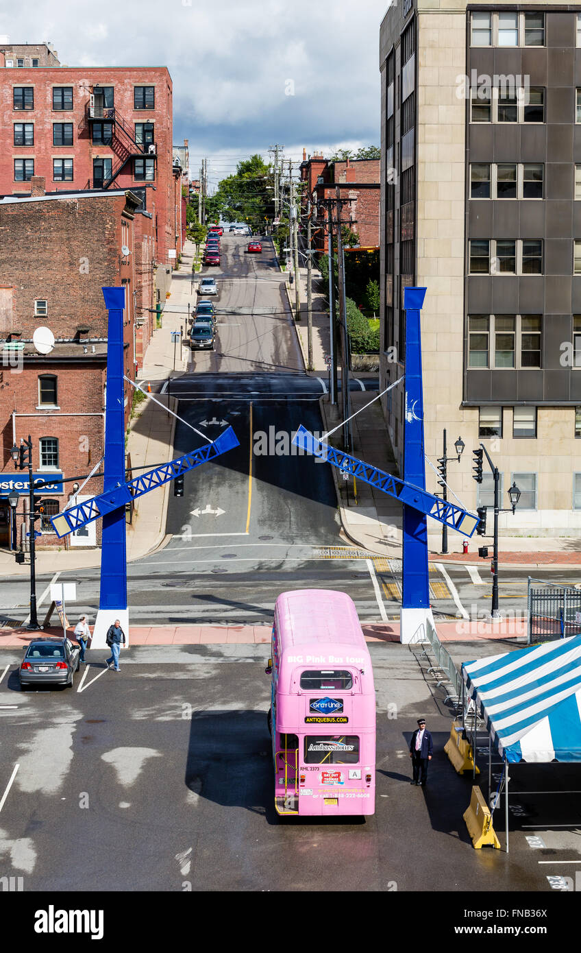Große rosa Bustouren in Saint John, New Brunswick, Kanada Stockfoto