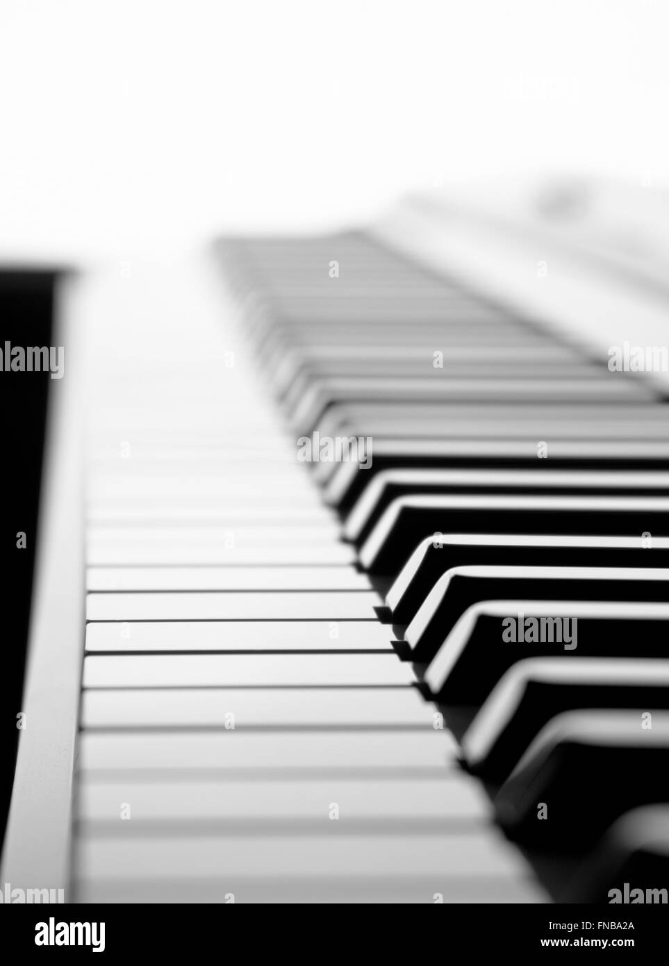 Black und White selektiven Fokus Klavier Tastatur erschossen von einem niedrigen Winkel und Hintergrundbeleuchtung mit weißem Hintergrund Stockfoto