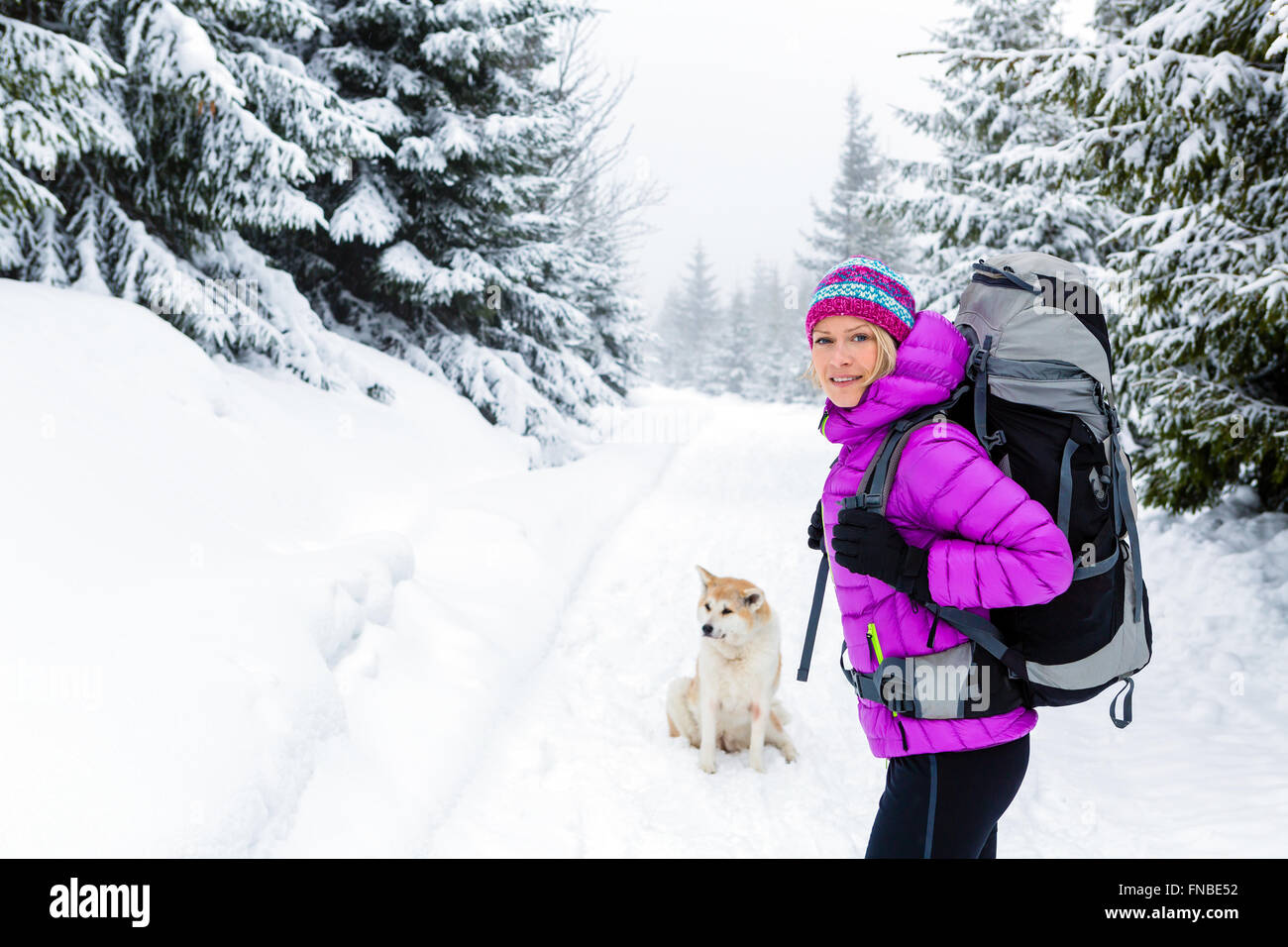 Wandern, trekking im Winterwald mit Akita Hund Frau. Erholung, Fitness und einen gesunden Lebensstil im Freien in der schönen Schnee Natur Stockfoto