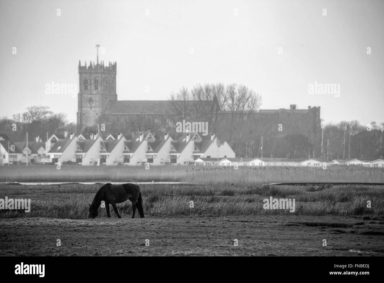 Christchurch Priory, Dorset, England, UK Stockfoto