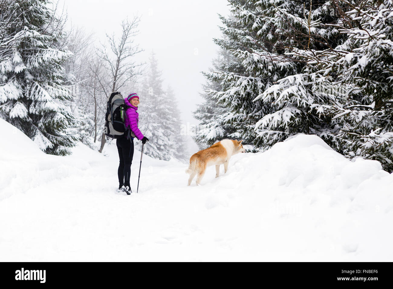 Frau im weißen Winterwald mit Akita Hund Wald wandern. Erholung, Fitness und gesunde Lebensweise im Freien in der Natur. Stockfoto