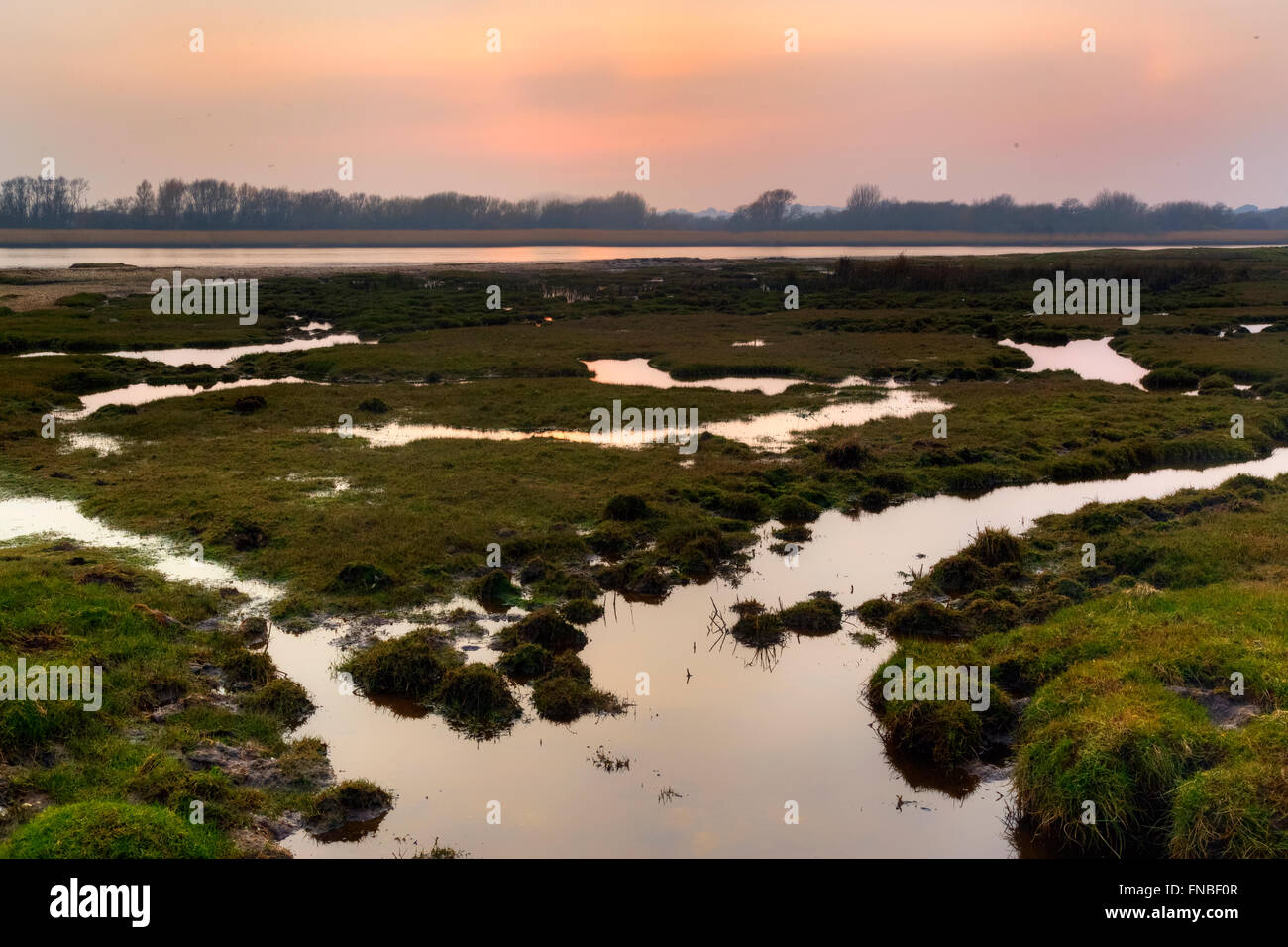 Abendsonne über Stanpit Marsh, Christchurch, Dorset, England, UK Stockfoto