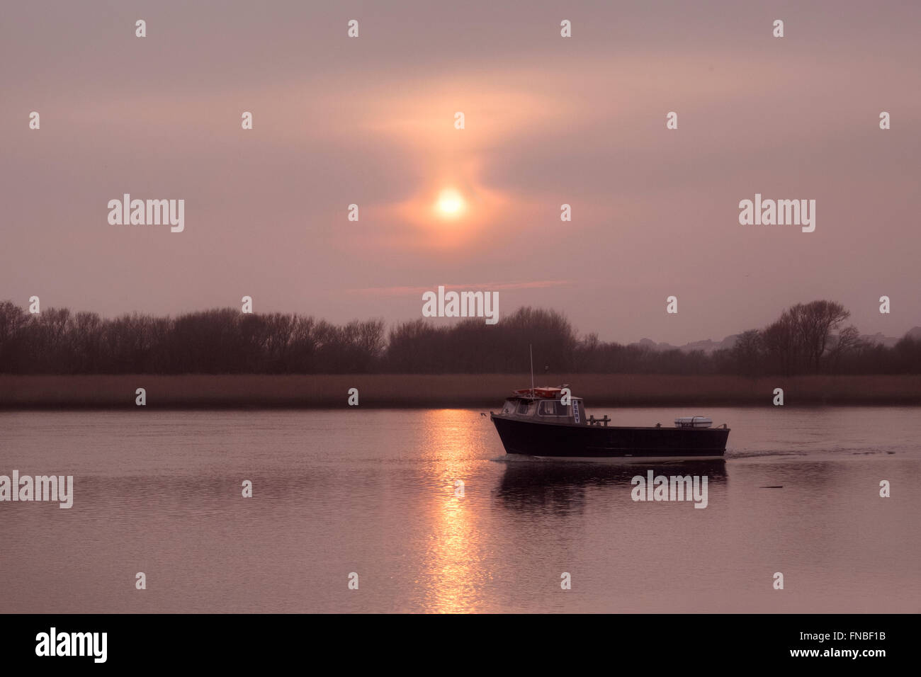 Abendsonne über Stanpit Marsh, Christchurch, Dorset, England, UK Stockfoto