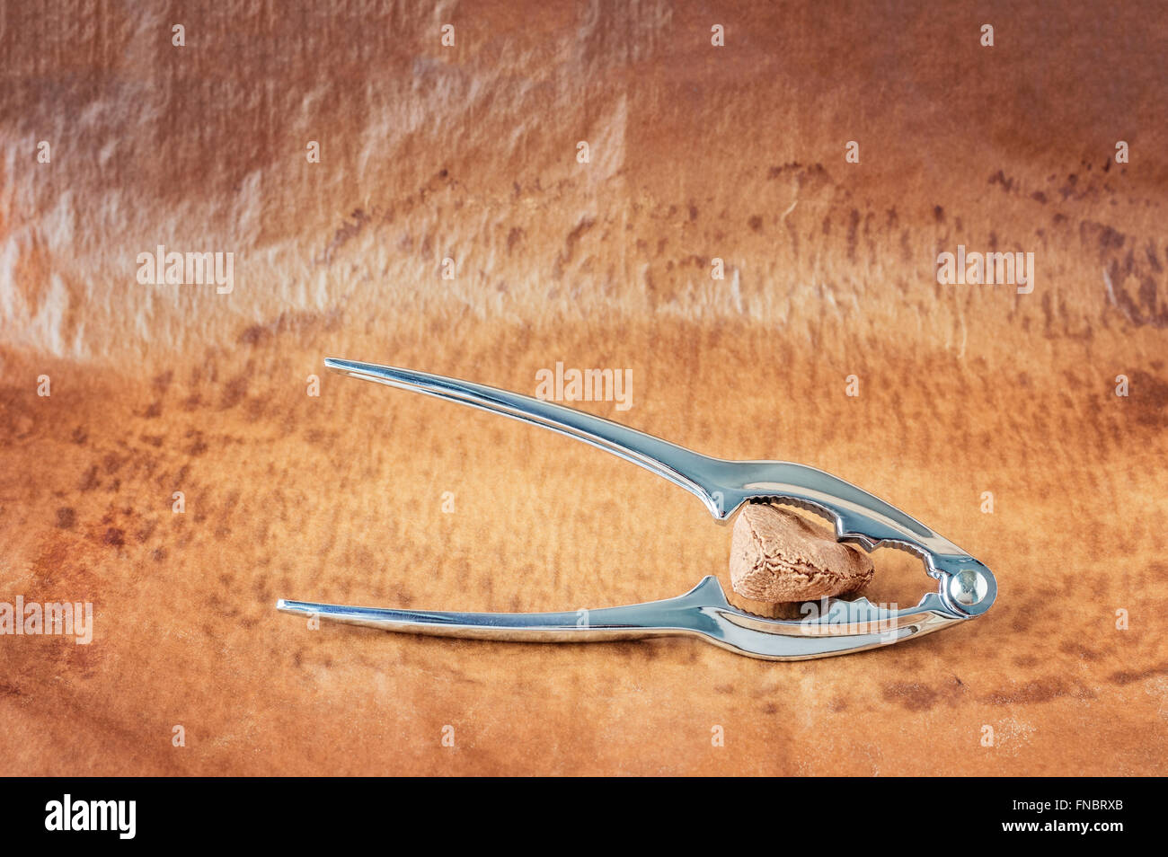 Glänzendes Metall Nussknacker mit einer Paranuss ein Pergament Papier Hintergrund. Stockfoto