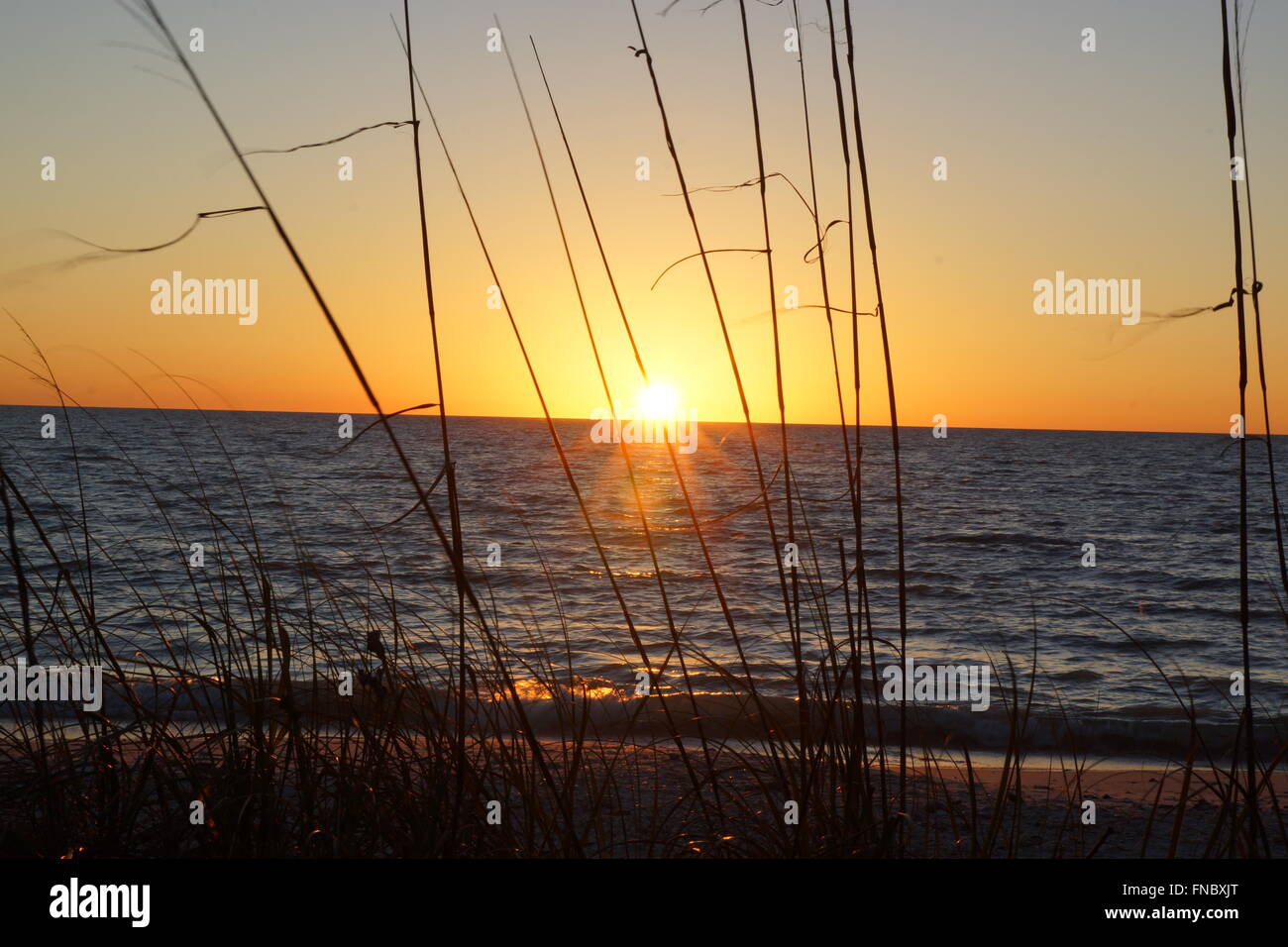 Sonnenuntergang am Strand von Florida Stockfoto