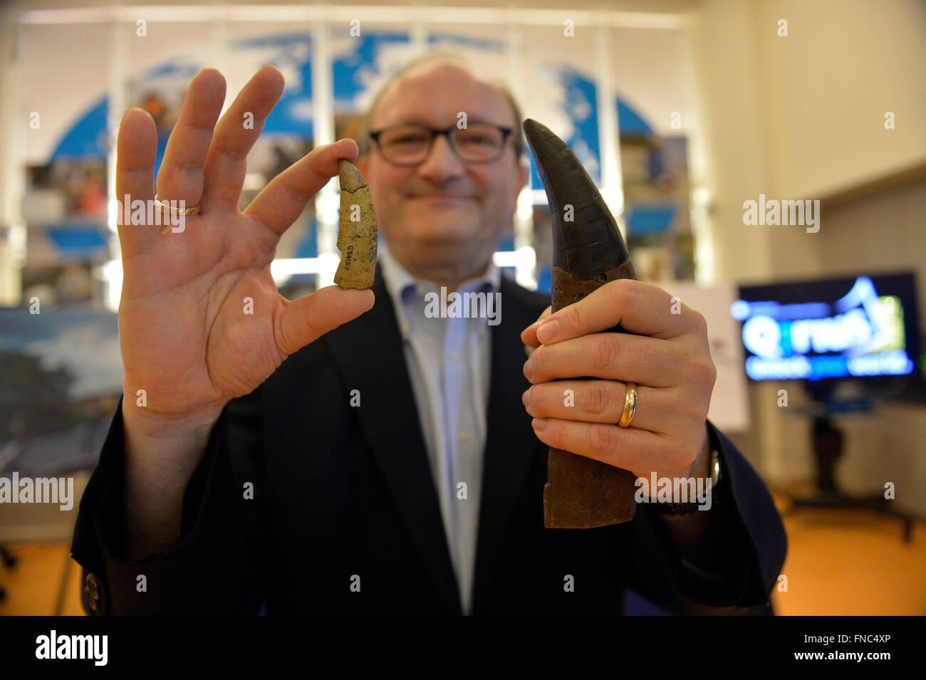 Washington, DC, USA. 14. März 2016. Hans Sues, Vorsitzender der Abteilung Paläobiologie an des Smithsonian National Museum of Natural History, hält einen Zahn eines neuen Dinosauriers, Timurlengia Euotica (L), im Vergleich zu den Zahn eines Tyrannosaurus rex (R) nach einer Pressekonferenz in Washington, DC, USA, 14. März 2016. Wissenschaftler sagte am Montag die versteinerten Überreste eines neuen Pferd mittlere Dinosauriers, die aufgedeckt haben entdeckt wie Tyrannosaurus Rex (T. Rex) wurde zu einem der Top-Räuber der Erde vor etwa 70 bis 80 Millionen Jahren. Bildnachweis: Yin Bogu/Xinhua/Alamy Live-Nachrichten Stockfoto