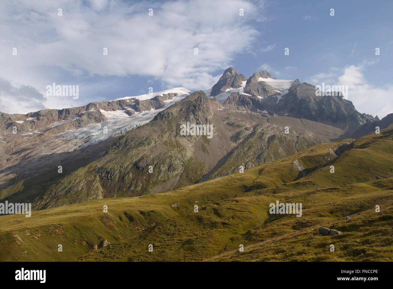 Aiguille des Glaciers von unten Col De La Seigne, Morgenlicht, Frankreich, Mont-Blanc-Massiv Stockfoto