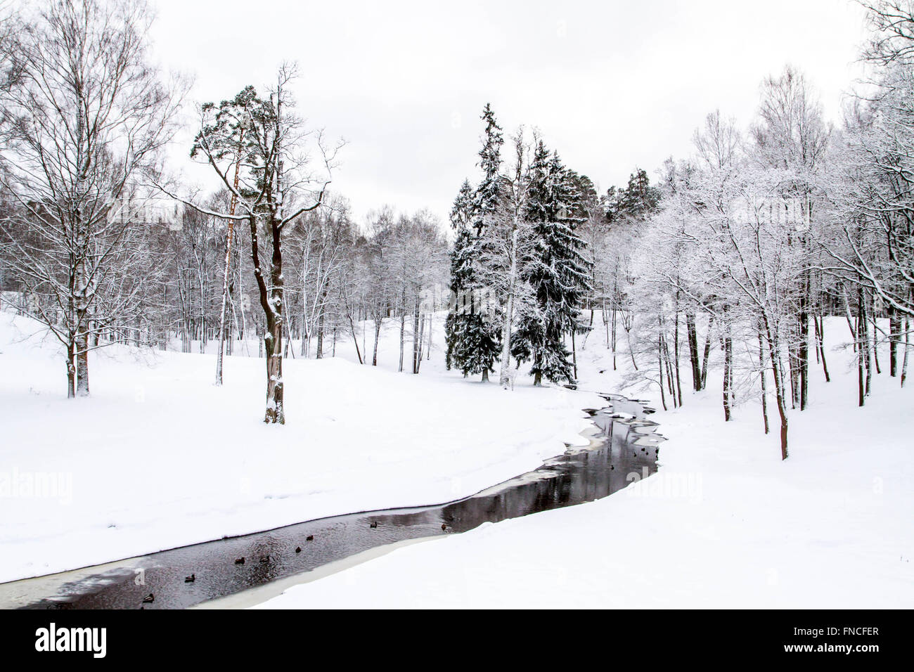 Ein Fluss mit Enten im Winter Park Stockfoto