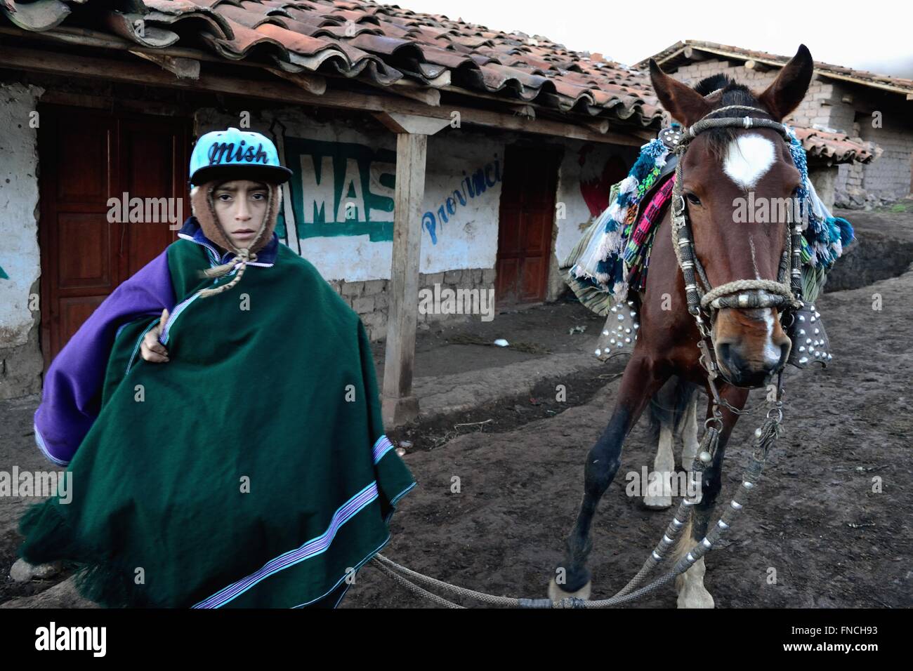 Pferd mieten - Weg zur Laguna Negra - El Porvenir Dorf - "Las Huaringas" in HUANCABAMBA. Abteilung von Piura. Peru Stockfoto