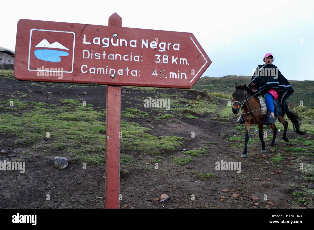 Pferd mieten - Weg zur Laguna Negra - El Porvenir Dorf - "Las Huaringas" in HUANCABAMBA. Abteilung von Piura. Peru Stockfoto