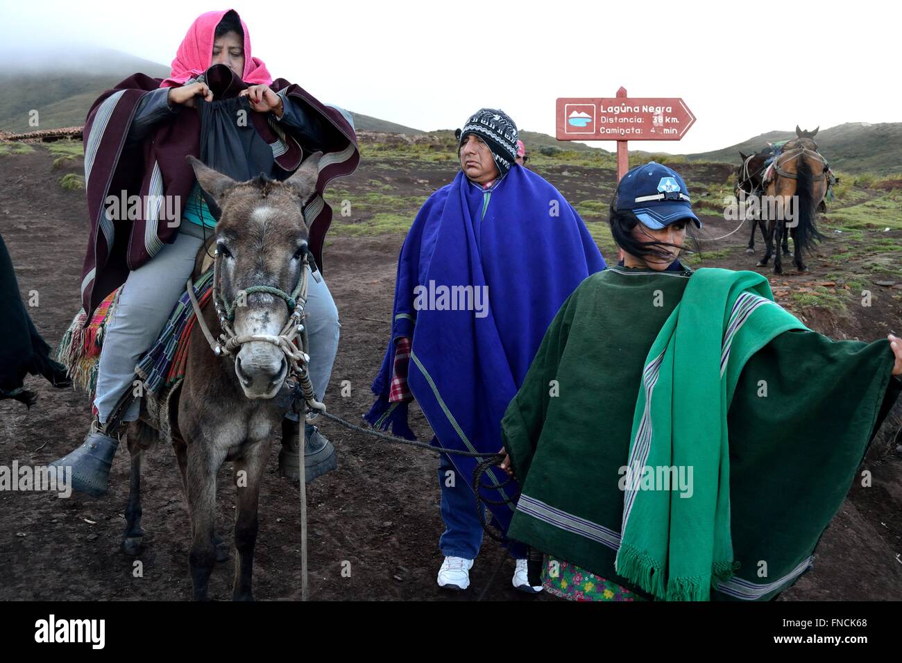 Pferd mieten - Weg zur Laguna Negra - El Porvenir Dorf - "Las Huaringas" in HUANCABAMBA. Abteilung von Piura. Peru Stockfoto