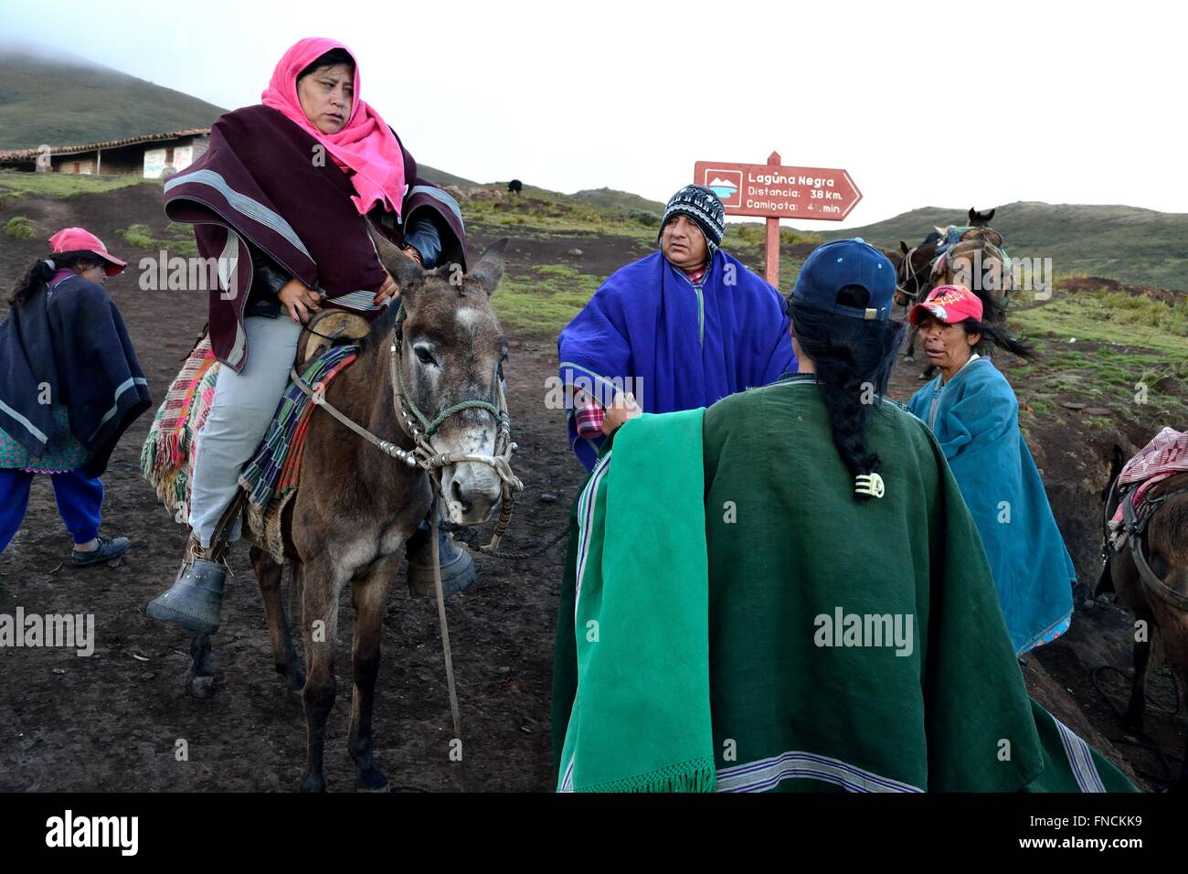 Pferd mieten - Weg zur Laguna Negra - El Porvenir Dorf - "Las Huaringas" in HUANCABAMBA. Abteilung von Piura. Peru Stockfoto