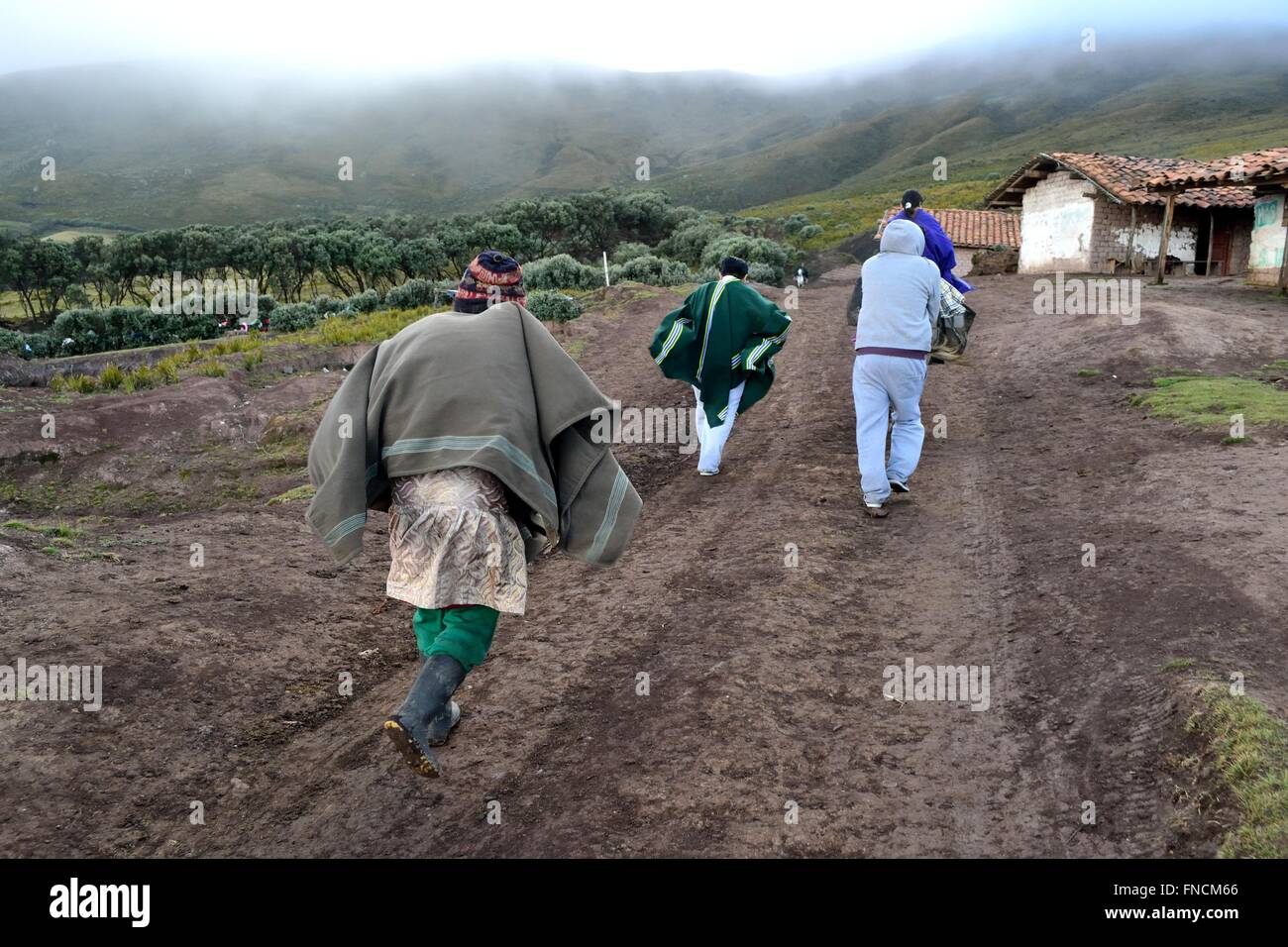 Weg zur Laguna Negra - El Porvenir Dorf - "Las Huaringas" in HUANCABAMBA. Abteilung von Piura. Peru Stockfoto