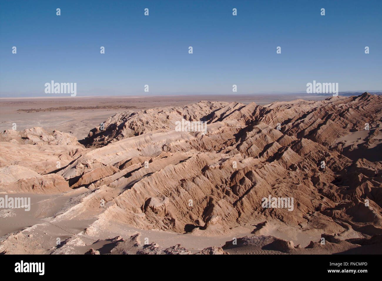 Teil des Valle De La Muerte, Atacamawüste, Chile Stockfoto