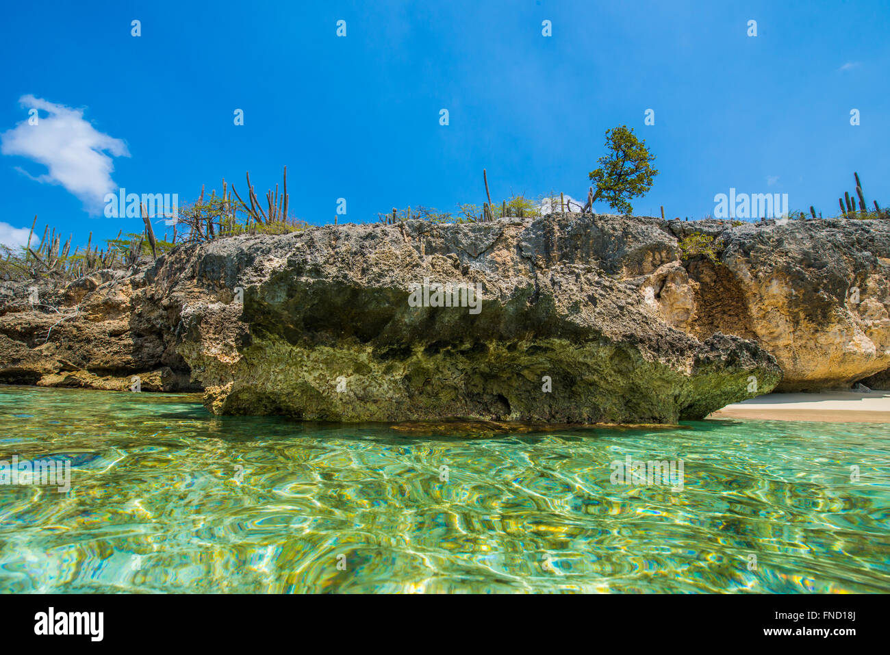 Wayaka Strand auf Bonaire in Washington Slagbaai National Park ist einer der schönsten Plätze zum Schnorcheln und Sonnenbaden Stockfoto