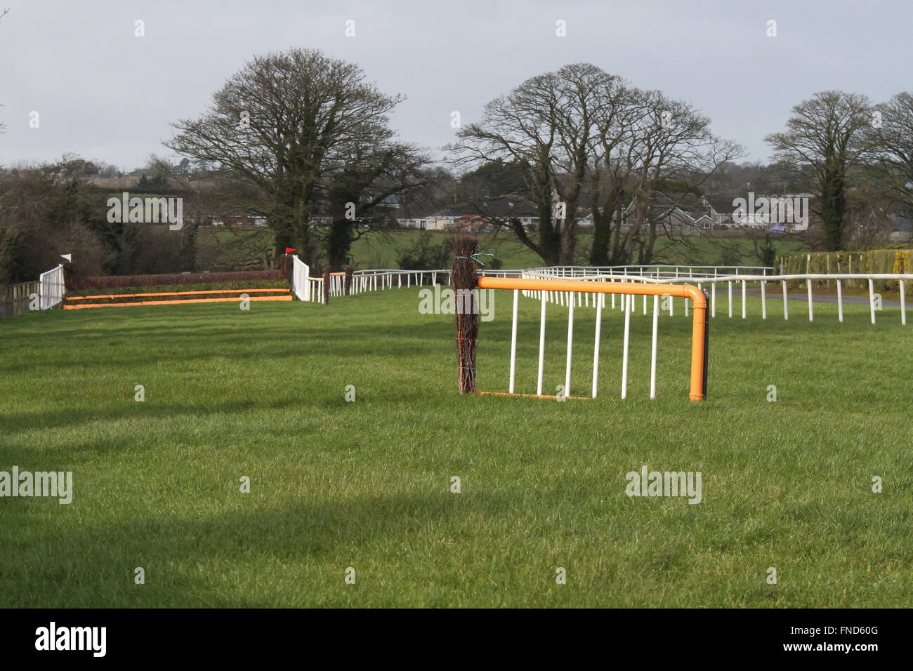 Nach unten Royal Racecourse, Lisburn, Nordirland Stockfoto