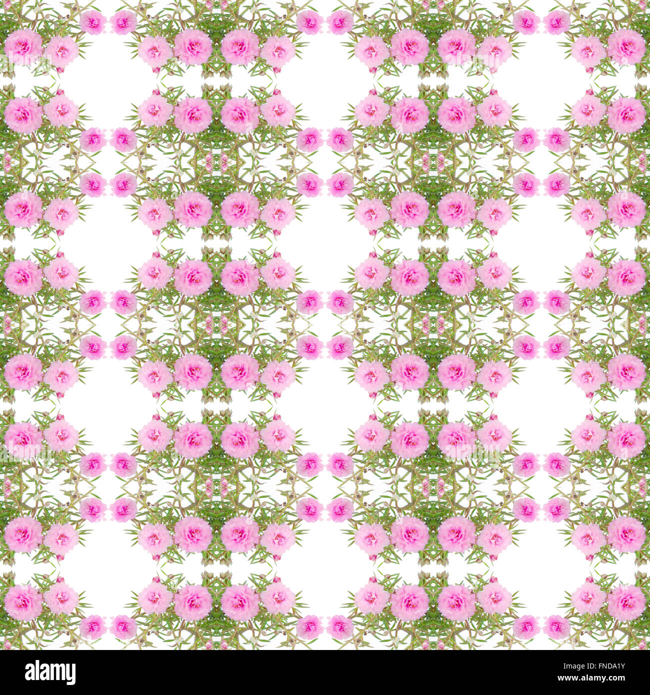 PORTULACA Blume Musterdesign Hintergrund Stockfoto