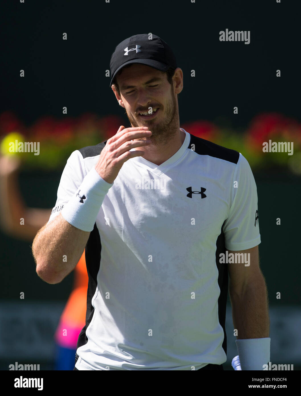 (160315)--INDIAN WELLS, März. 15, 2016 (Xinhua)--Andy Murray aus Großbritannien reagiert während seiner dritten Runde Herren Einzel gegen Federico Delbonis von Argentinien bei der BNP Paribas Open in Indian Wells, Vereinigte Staaten, am 14. März 2016. Murray verlor 1: 2. (Xinhua/Yang Lei) Stockfoto