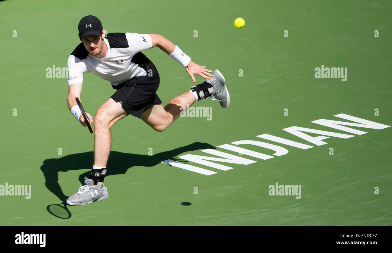 (160315)--INDIAN WELLS, März. 15, 2016 (Xinhua)--Andy Murray aus Großbritannien trifft eine Rückkehr in seine dritte Runde Herren Einzel gegen Federico Delbonis von Argentinien bei der BNP Paribas Open in Indian Wells, Vereinigte Staaten, am 14. März 2016. Murray verlor 1: 2. (Xinhua/Yang Lei) Stockfoto