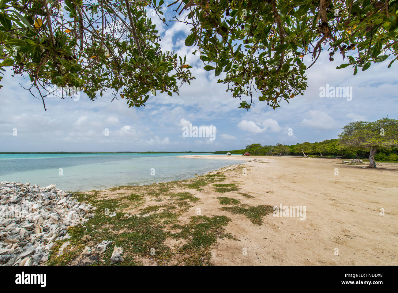 Lac Cai ist der Ort für Bonaire Fischer, der im Wasser mit Booten dort, seine besticht durch die Berge von Muscheln Stockfoto