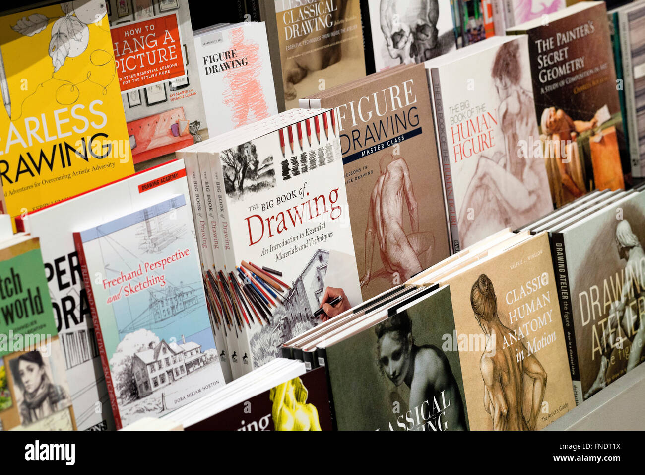 Kunstbücher bei Buchhandlung - USA Stockfoto