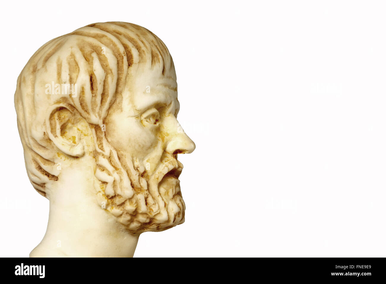 Weisse Marmorbüste des griechischen Philosophen Aristoteles, isoliert auf weiss Stockfoto