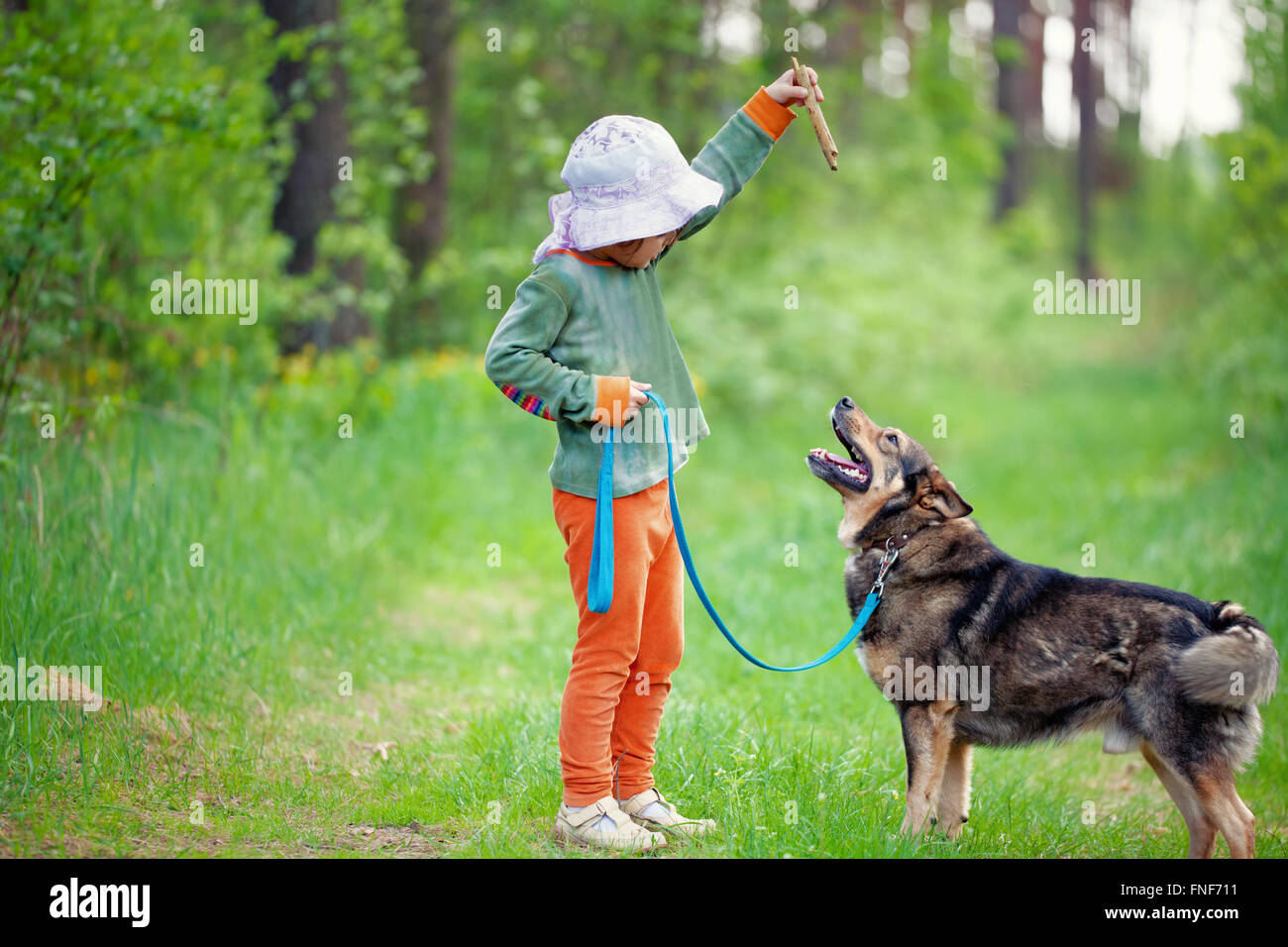 Kleines Mädchen Schule Hund im Wald Stockfoto