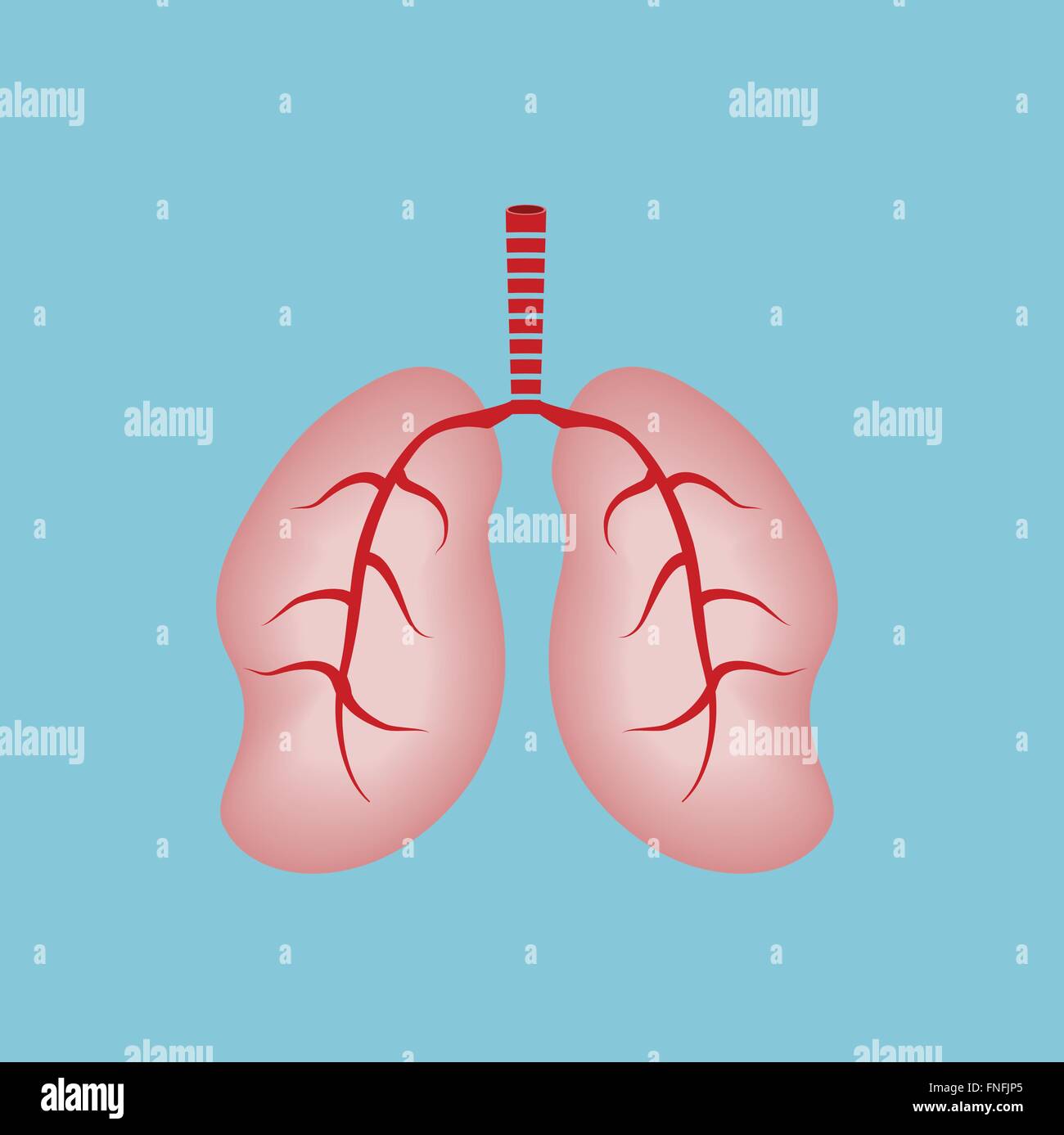 Menschliche Lungs.World-Asthma-Tag Stock Vektor