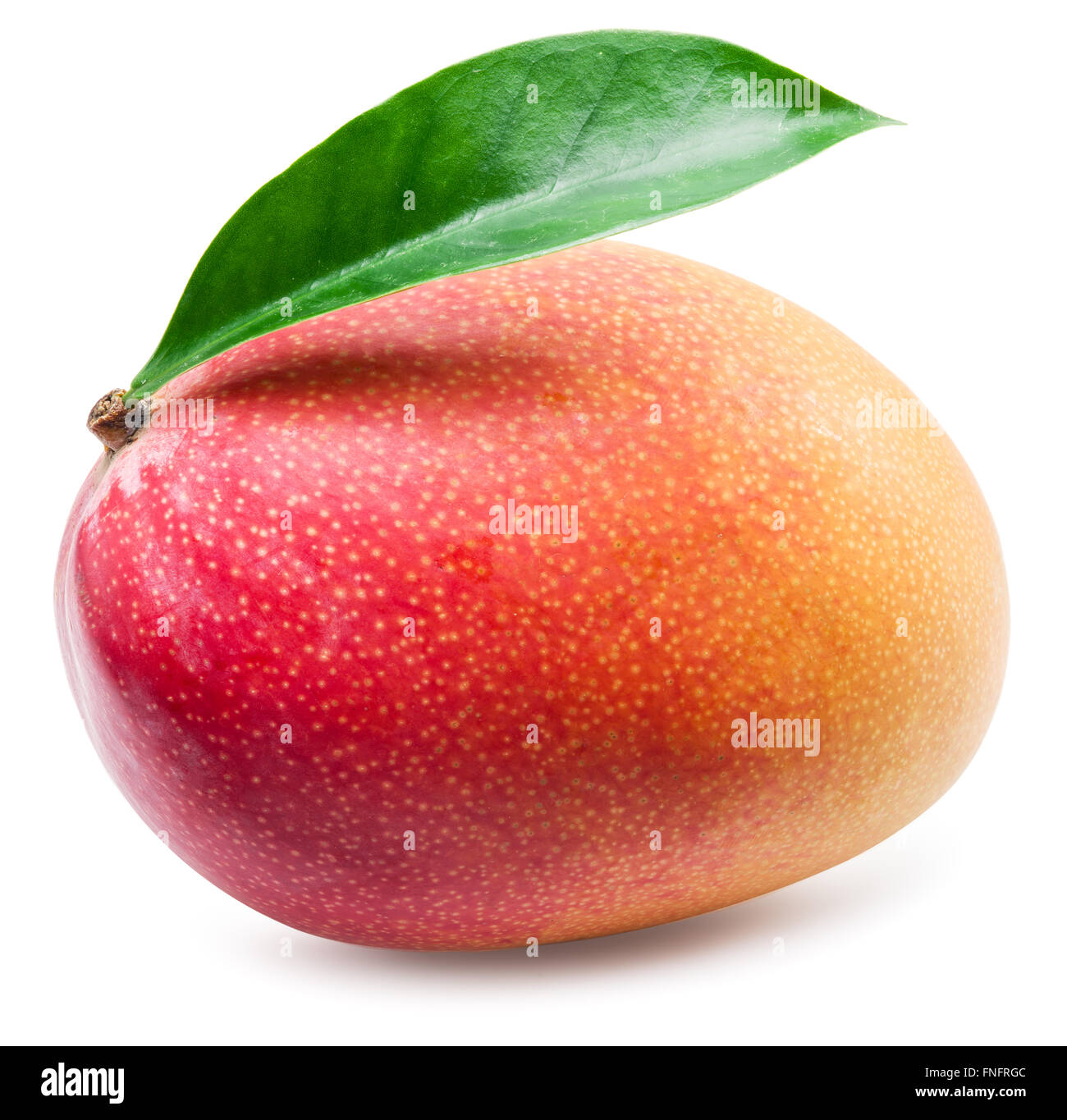 Mango-Frucht mit Blatt auf dem weißen Hintergrund isoliert. Das Bild von hoher Qualität. Stockfoto