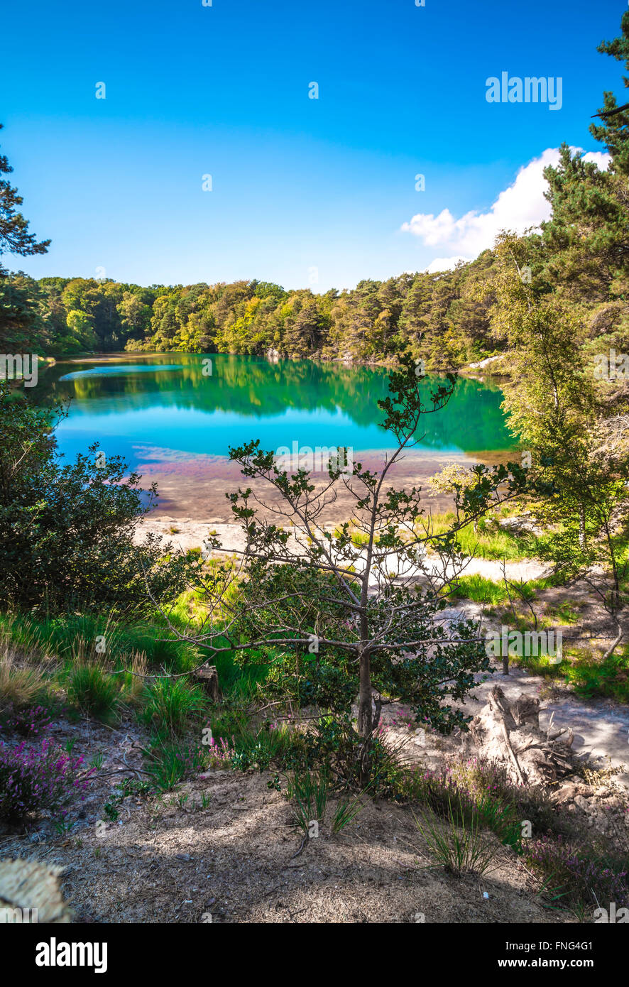 Blauen Pool bei Furzebrook, Dorset Stockfoto