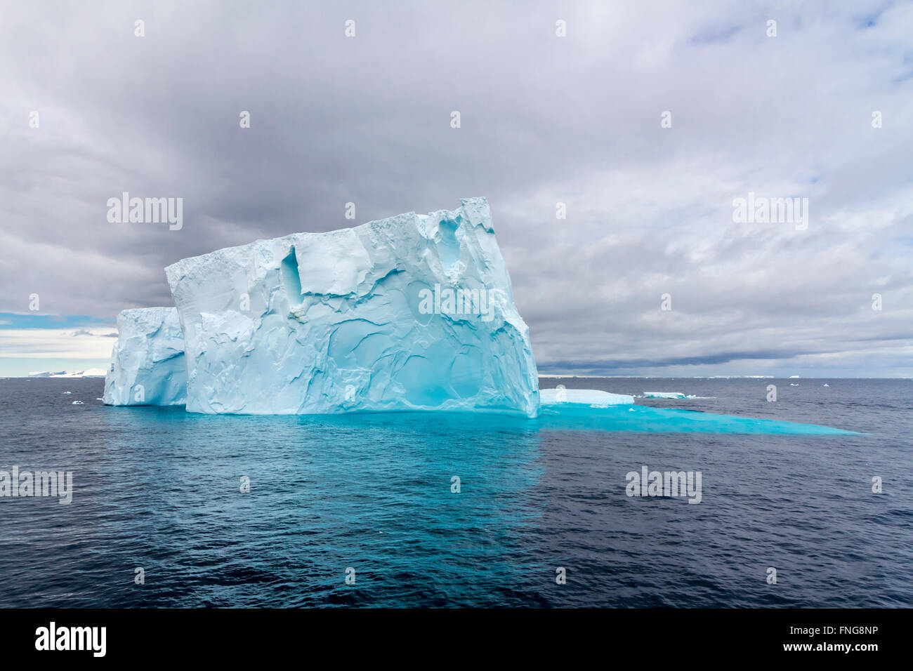 Eisberge in der antarktischen Halbinsel, Antarktis. Stockfoto