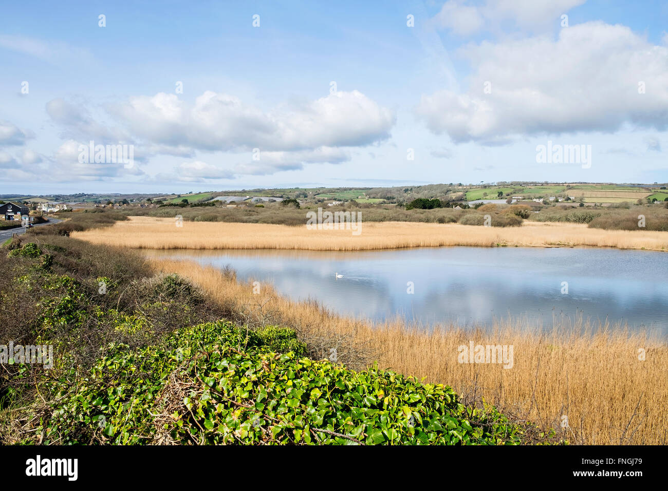 Marazion Marsh in der Nähe von Penzance in Cornwall, Großbritannien eine RSPB Natur reservieren Stockfoto