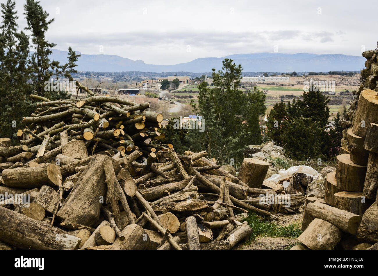Einige Brennholz-Ansicht in Sentiu de Sió, Provinz Lleida, Katalonien, Spanien Stockfoto