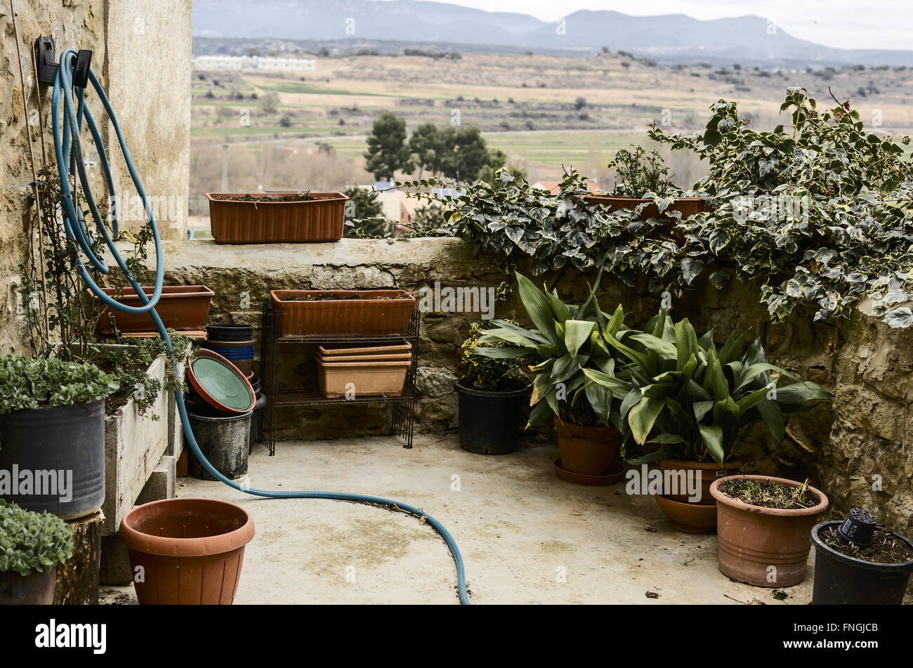 Blumentöpfe Ausblick in Sentiu de Sió, Lleida Provinz, Katalonien, Spanien Stockfoto