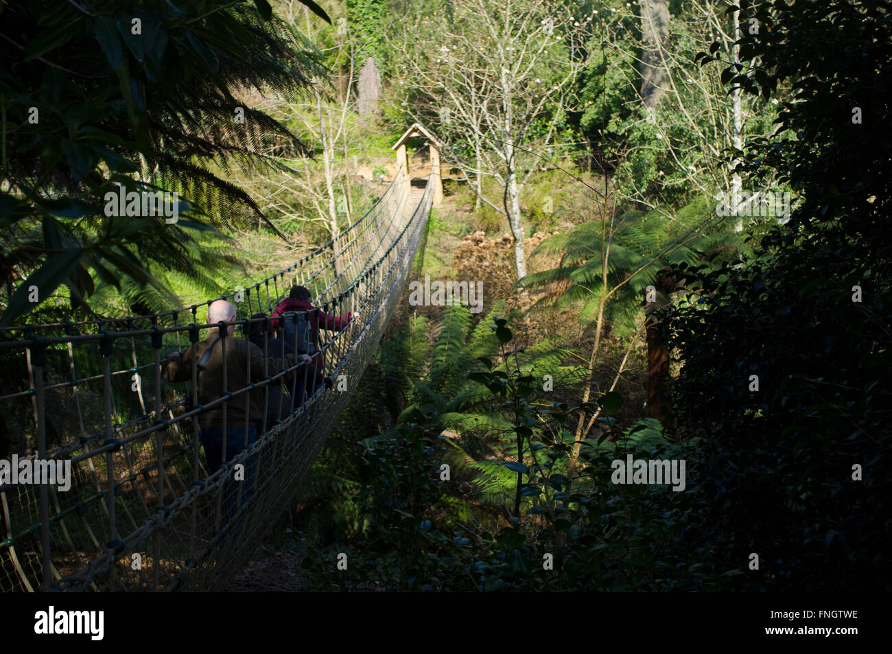 Rope bridge lost gardens heligan Fotos und Bildmaterial in hoher