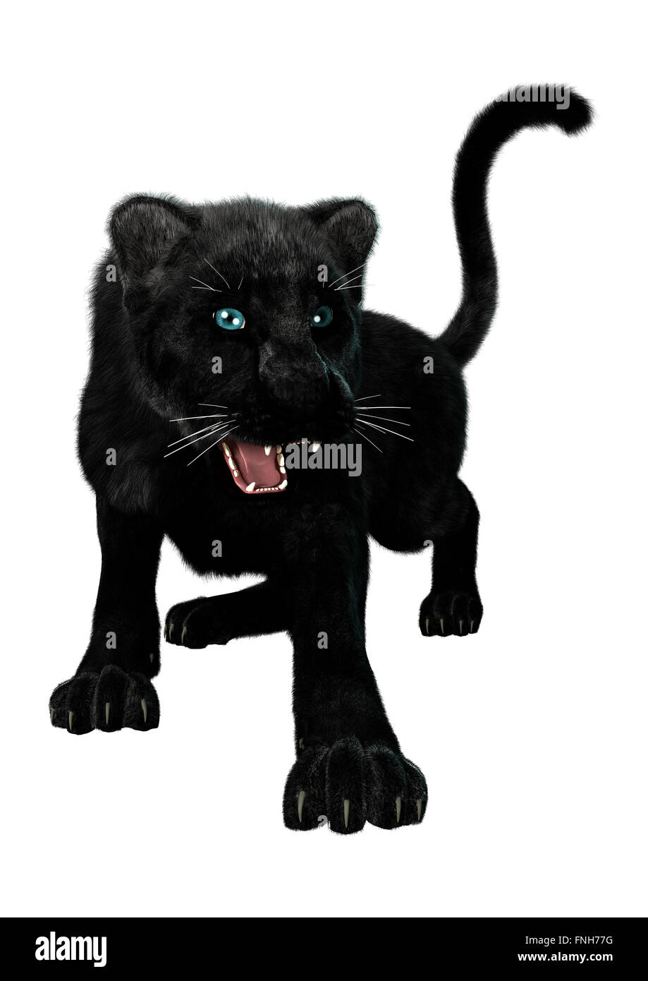 Digital Render einen großen schwarzen Panther Jagd isolierten auf weißen Hintergrund Stockfoto