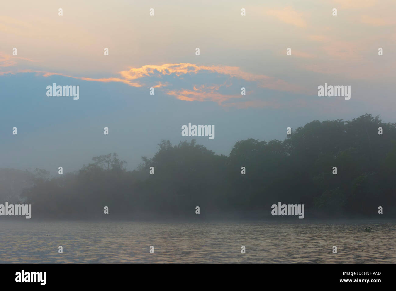 Cuiaba Fluss bei Sonnenaufgang, Pantanal, Mato Grosso, Brasilien Stockfoto