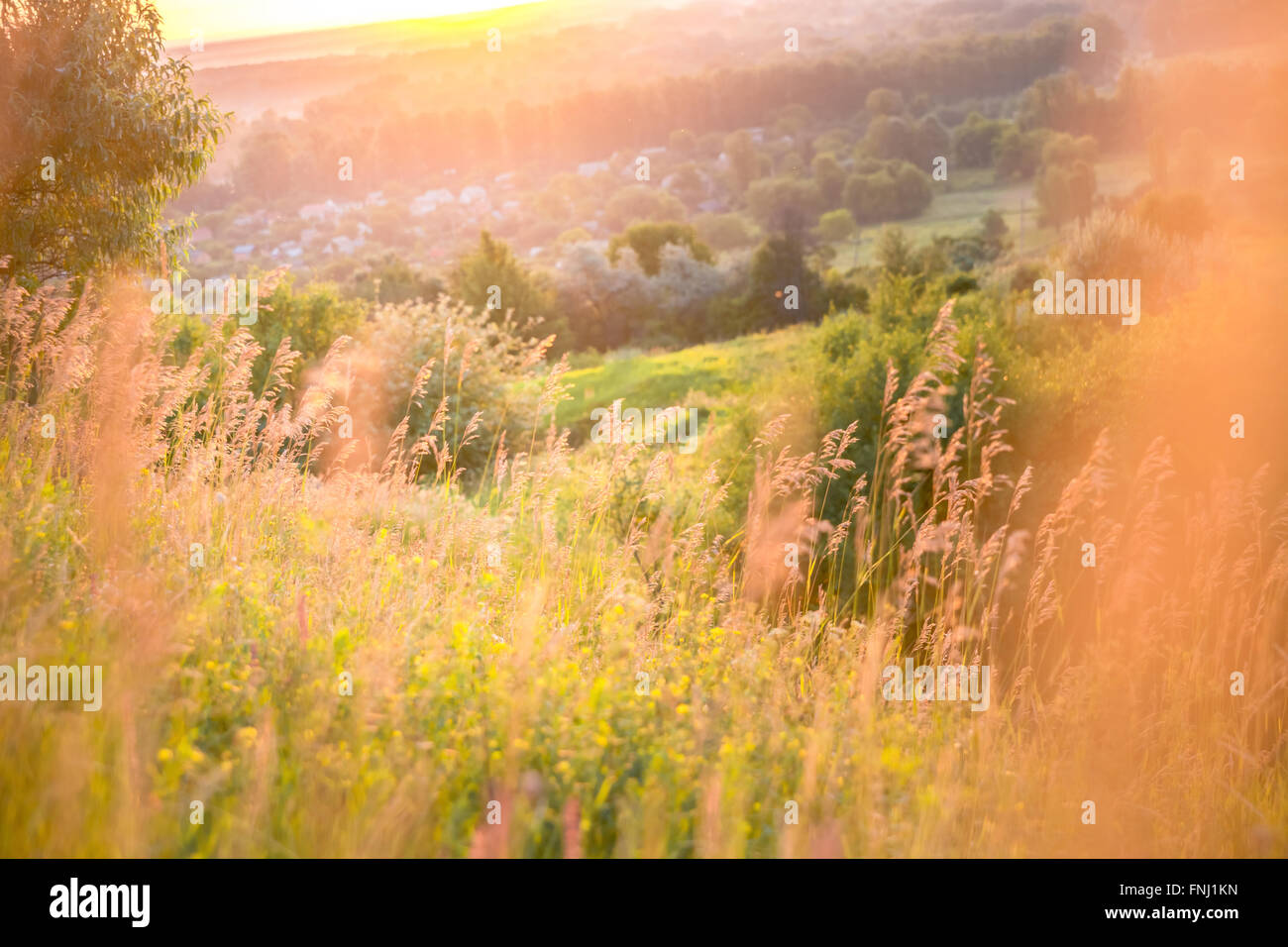 Schöne ländliche Landschaft mit Sonnenaufgang über einer Wiese. Soft Focus Stockfoto