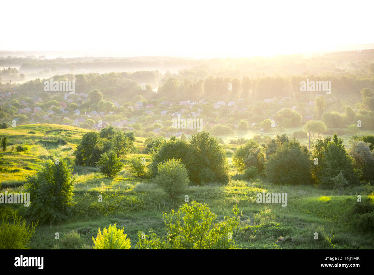 Schöne ländliche Landschaft mit Sonnenaufgang über einer Wiese. Soft Focus Stockfoto
