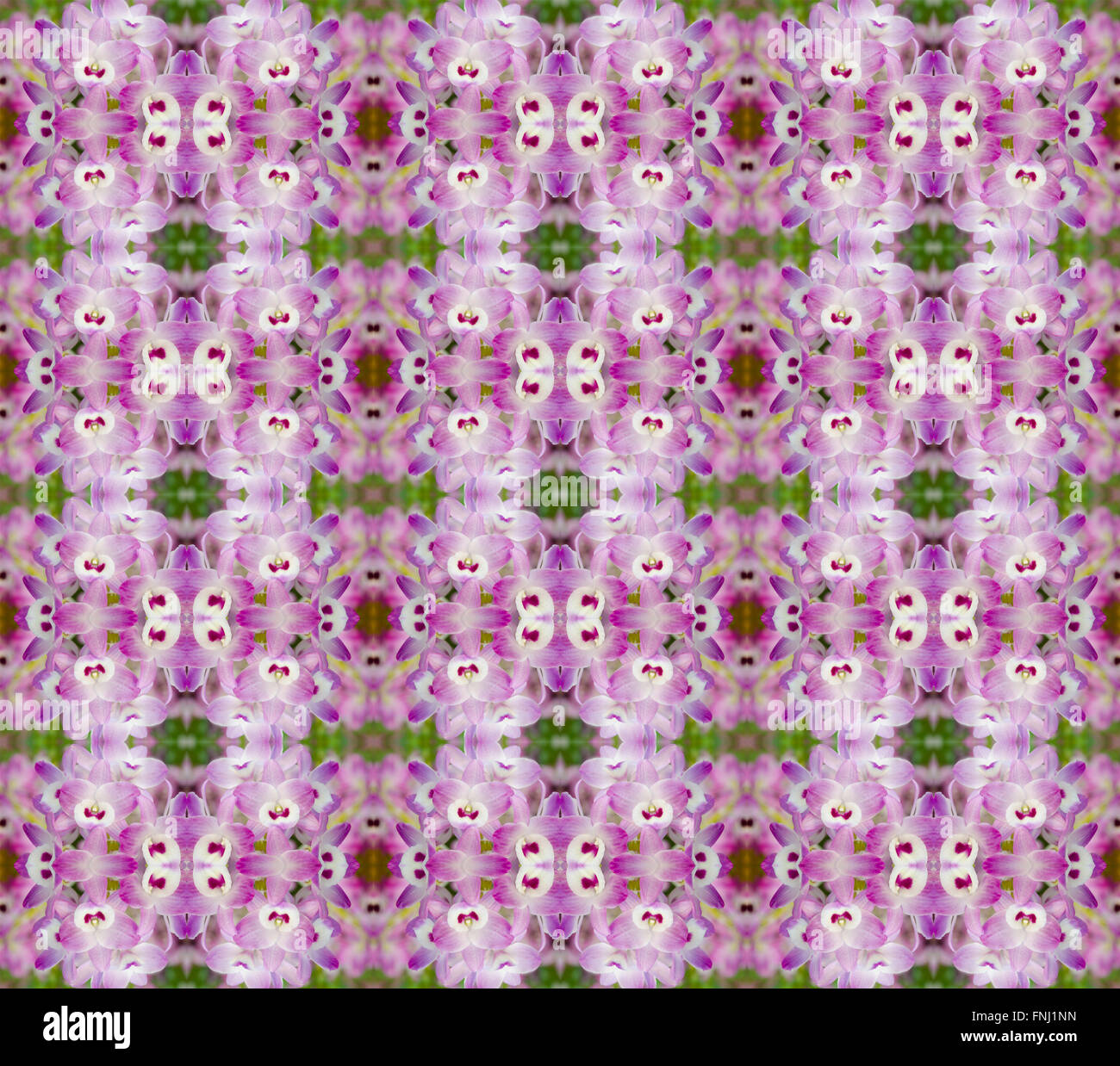 Nobile Orchideen Musterdesign Hintergrund Stockfoto