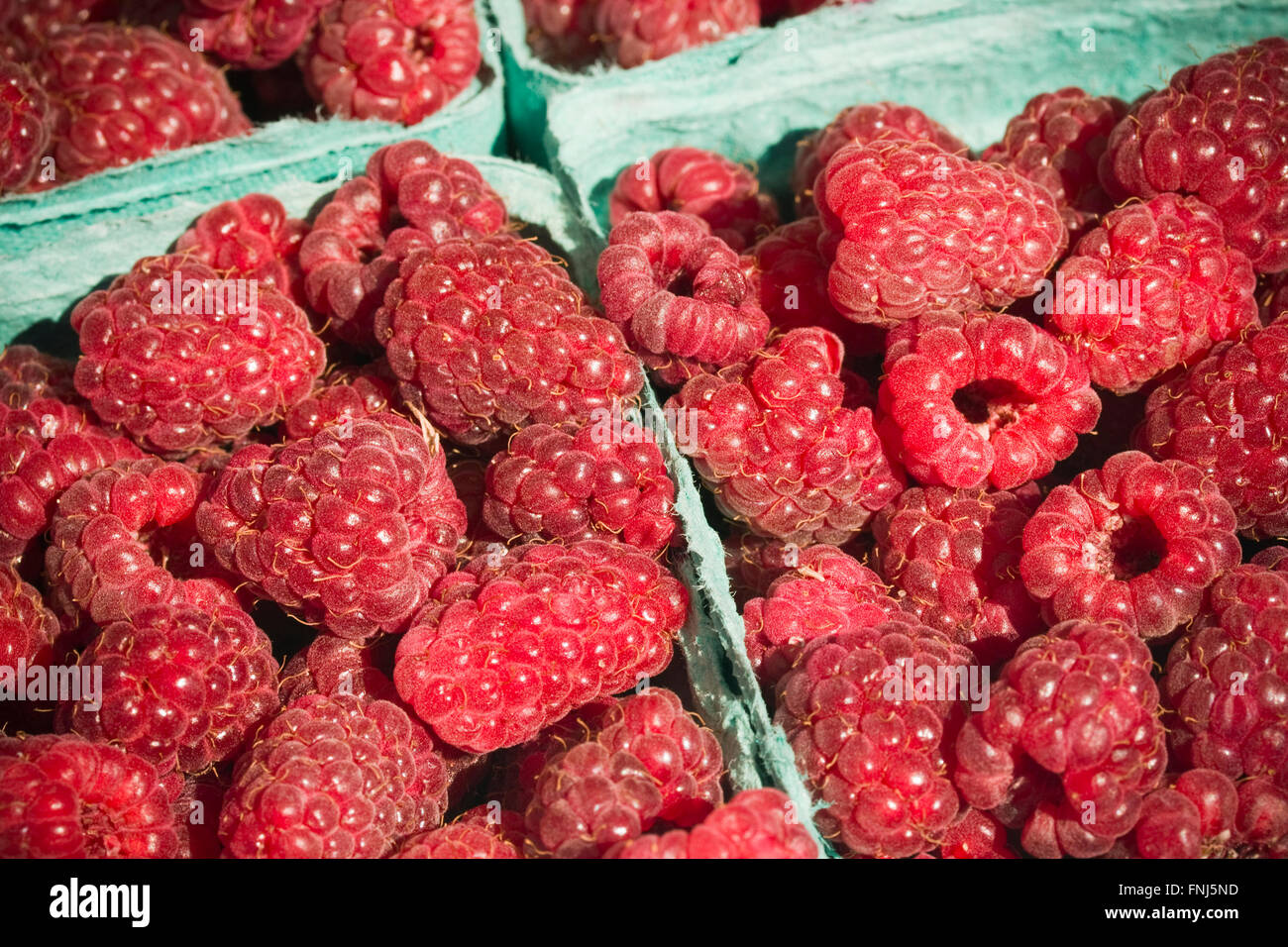 Roten Himbeeren an offenen Farmers Market Stockfoto