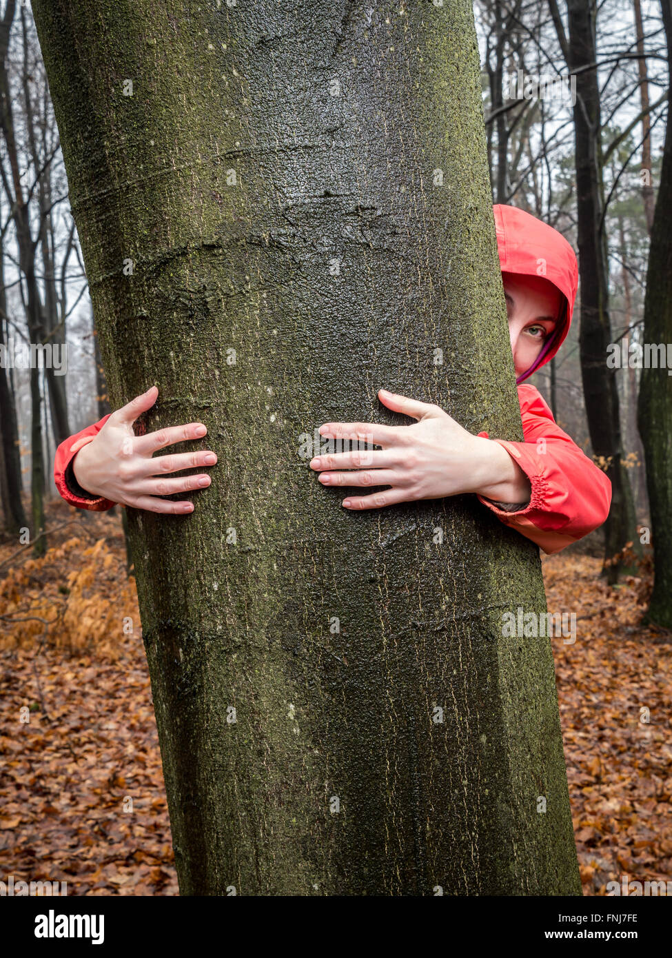 Frau umarmt einen Baum im Wald Stockfoto
